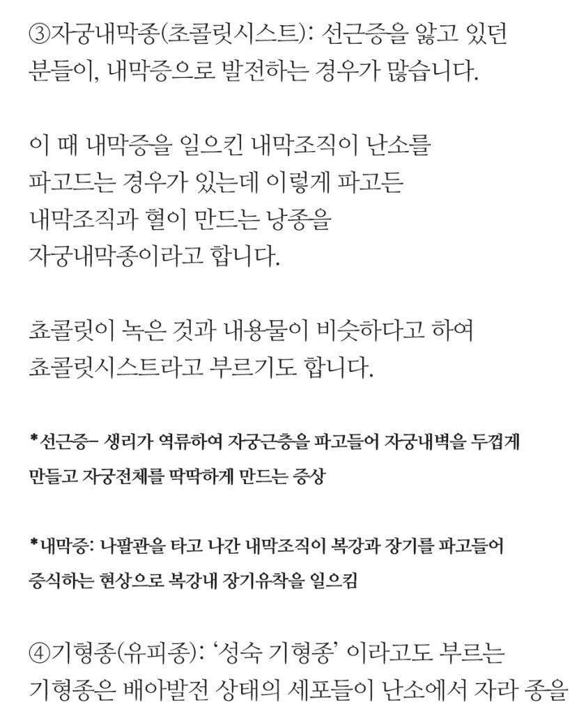 복붙 이미지 (4)